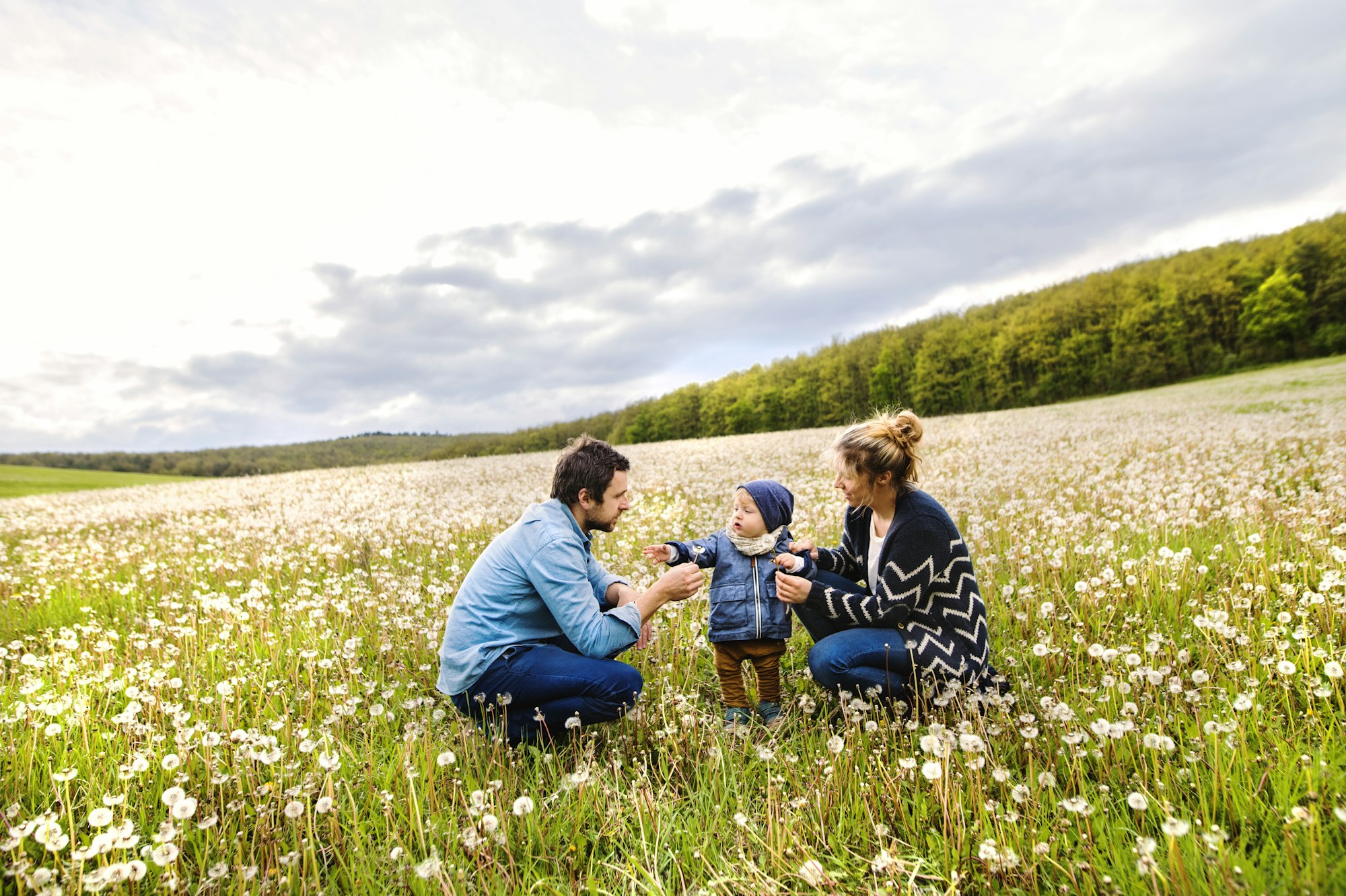 Cute little boy with parents in dandelion field